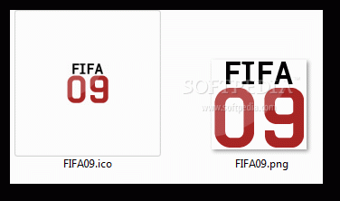 FIFA 09 Icon