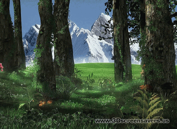 3D Forest Screensaver