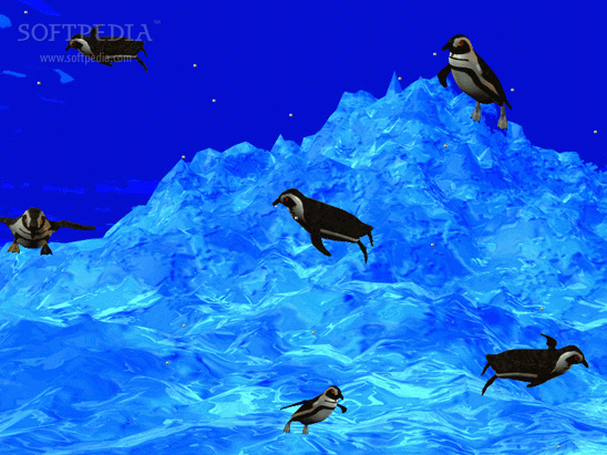 3D Swimming Penguins