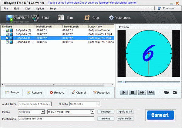 4Easysoft Free MP4 Converter