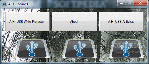 A.H. Secure USB