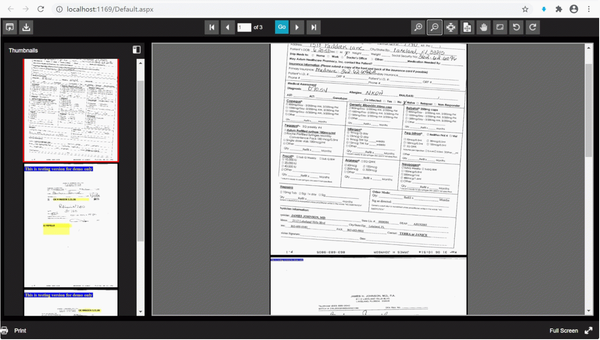 ASP.NET Web Document Viewer SDK Control