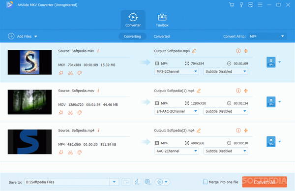 AVAide MKV Converter