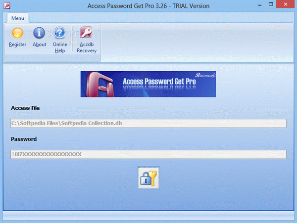 Access Password Get Pro