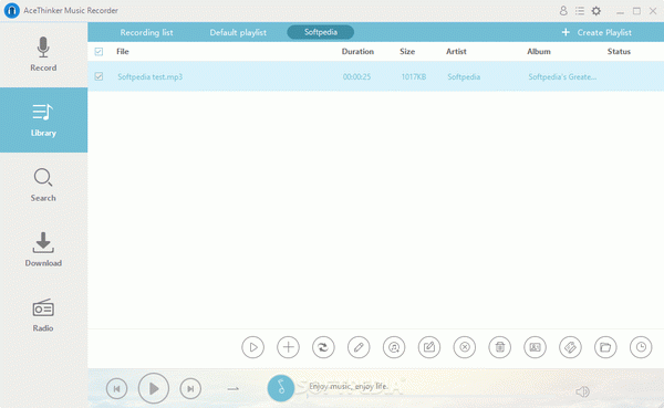 AceThinker Music Recorder