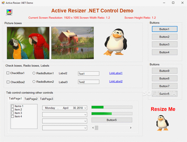 Active Resizer .NET Control