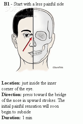 Acupressure Guide