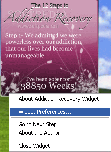 Addiction Recovery Widget