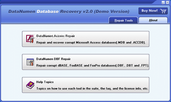 DataNumen Database Recovery [DISCOUNT: 20% OFF!]