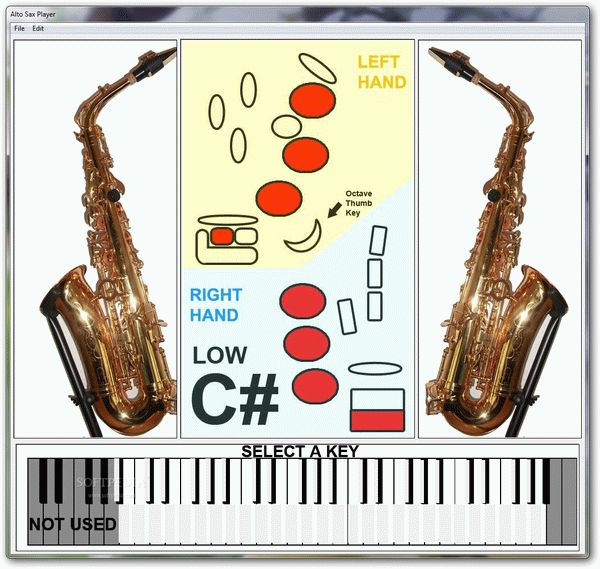 Alto Sax Player