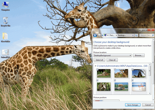 Animal Pals Windows 7 Theme