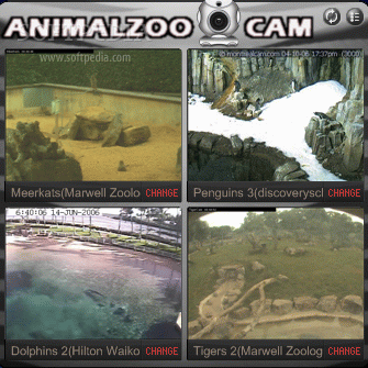 Animal Zoo Cam