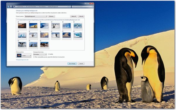 Antarctica Windows 7 Theme