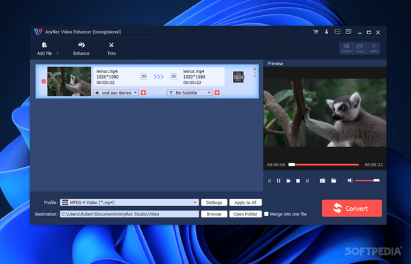 AnyRec Video Enhancer