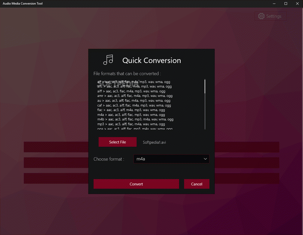 Audio Media Conversion Tool