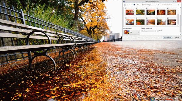 Autumn Road Windows 7 Theme