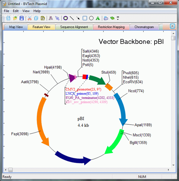 BVTech Plasmid