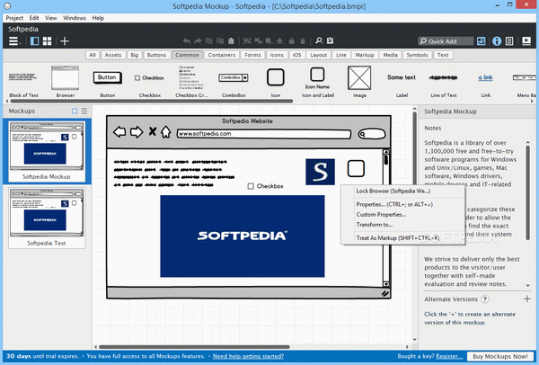 Balsamiq Mockups