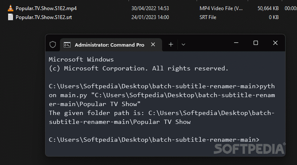 Batch Subtitle Renamer