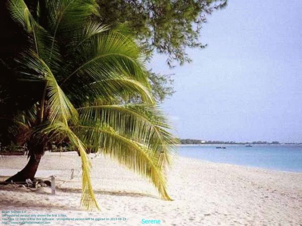 Beach Scenes