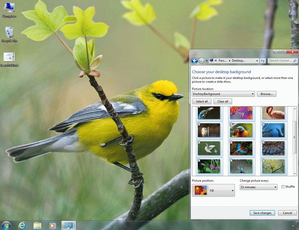 Beautiful Birds Theme