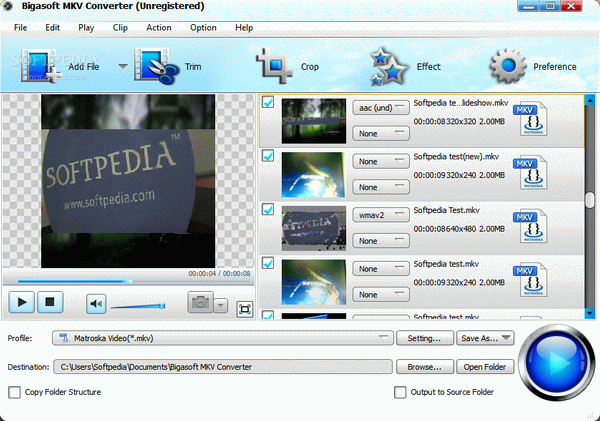 Bigasoft MKV Converter