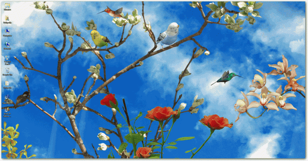 Birds of Nature 3D