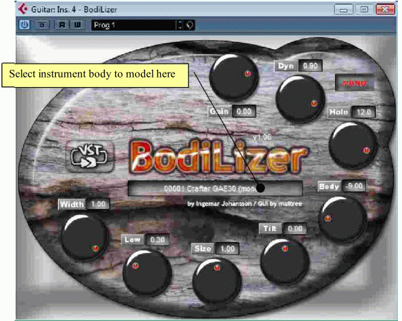 BodiLizer