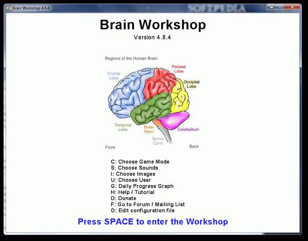 Brain Workshop