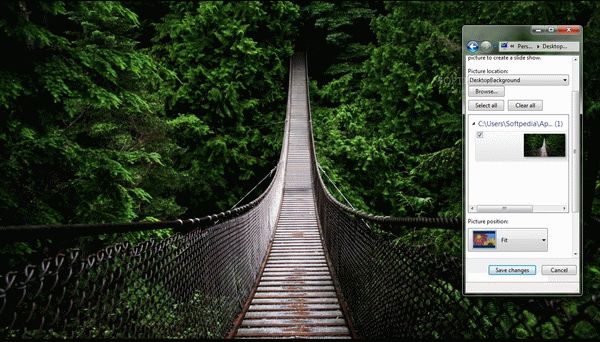 Bridge in forest