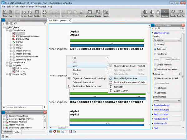 CLC DNA Workbench