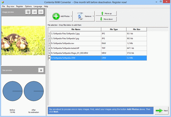 Contenta RAW Converter