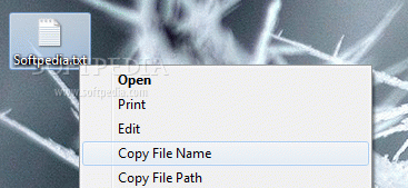 Copy File Name Utility