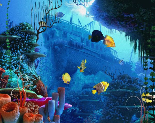 Coral Reef 3D Screensaver