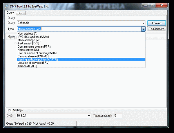 DNS Tool