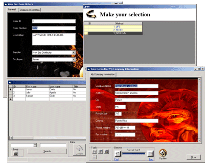 Data Form ActiveX Control