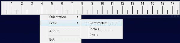 Designers Ruler