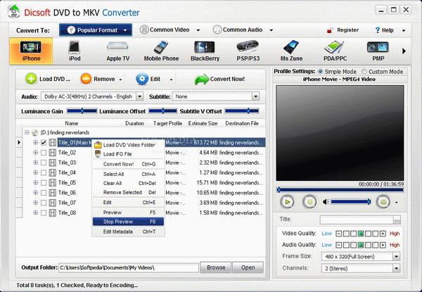 Dicsoft DVD to MKV Converter