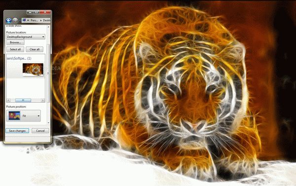 Digital Tiger