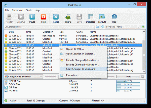 Disk Pulse