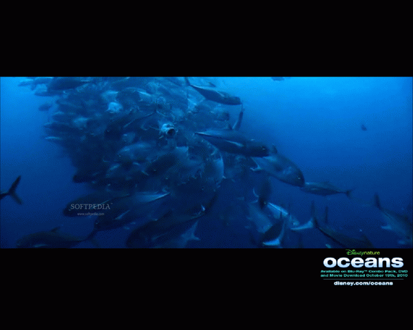 Disney Nature-Oceans Screensaver