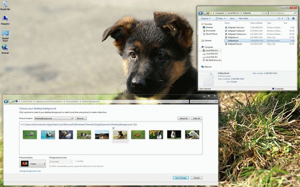 Dogs in Summer Windows 7 Theme