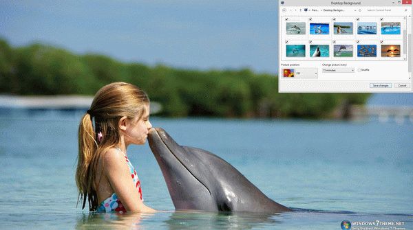 Dolphins Windows 7 Theme