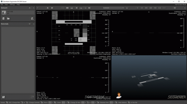 Dornheim Segmenter DICOM Viewer