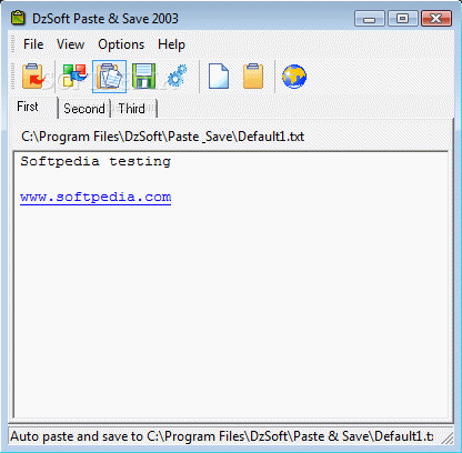 DzSoft Paste & Save