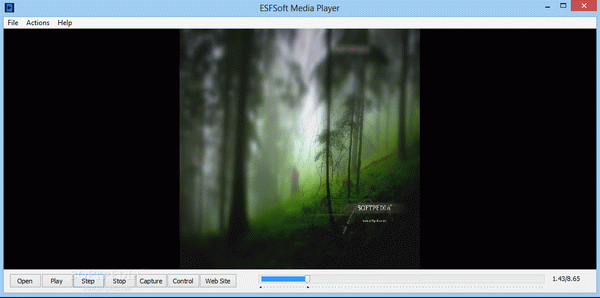 ESFSoft Media Player