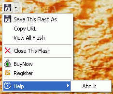 EZ Save Flash