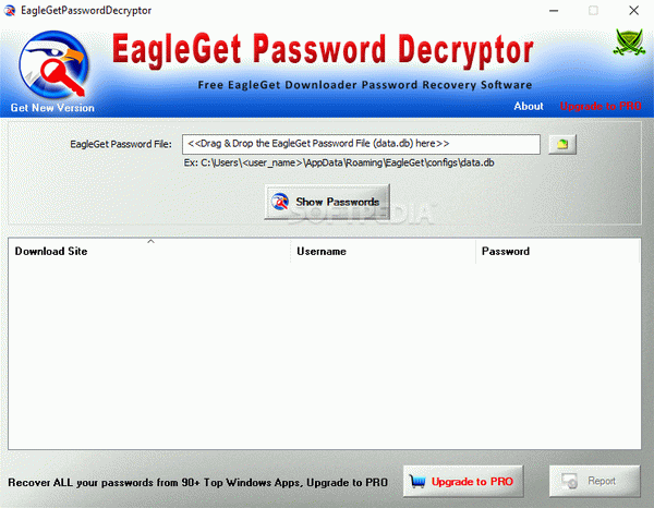 EagleGet Password Decryptor