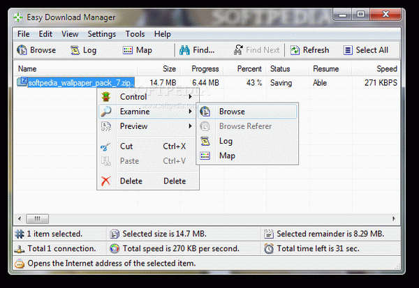 Easy Download Manager