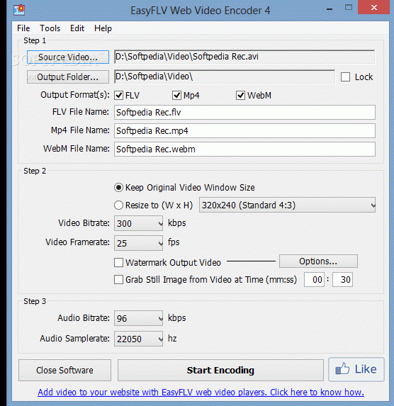 EasyFLV Web Video Encoder